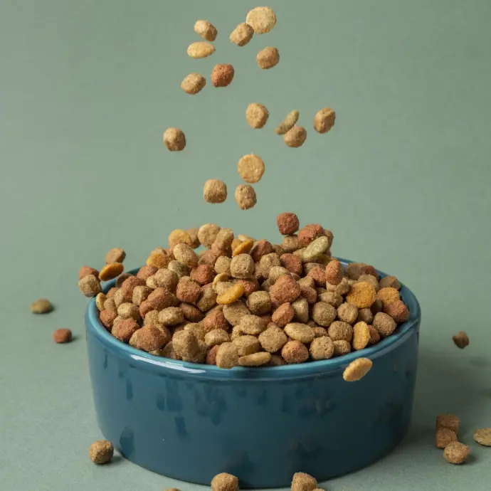 Dog Food at Love Pet Shop Ambala is carefully selected to provide your furry friend with complete nutrition, great taste, and trusted quality. We stock a wide range of dry kibble, wet food, puppy food, senior dog food, and breed-specific formulas from top pet brands. Each product is made with high-quality ingredients to support your dog’s overall health, energy, and immunity.