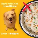 3_9507_600x.webp