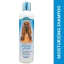 Bio Groom White Ginger Natural Scent Shampoo for Dogs