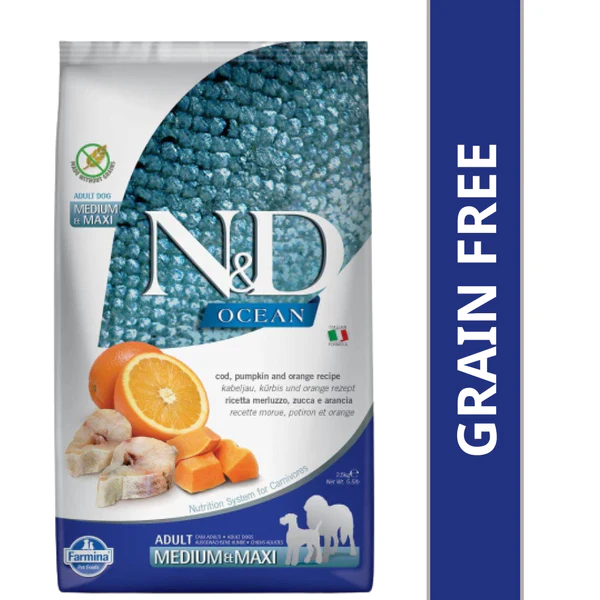 N&D Ocean Codfish Orange & Pumpkin Grain Free Adult Medium Maxi Dog Dry Food
