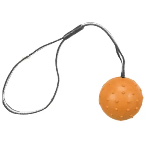 Trixie Ball on a Strap Toy for Dogs (Orange) (35cm)